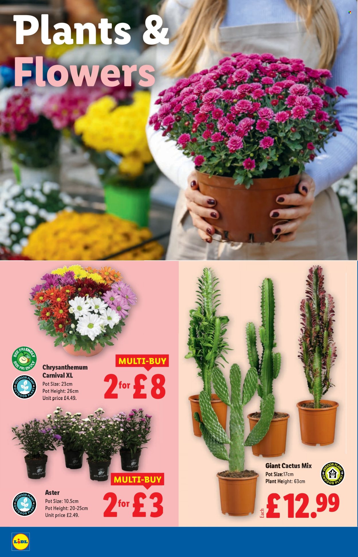 Lidl offer - 14/08/2025 - 20/08/2025. Page 20