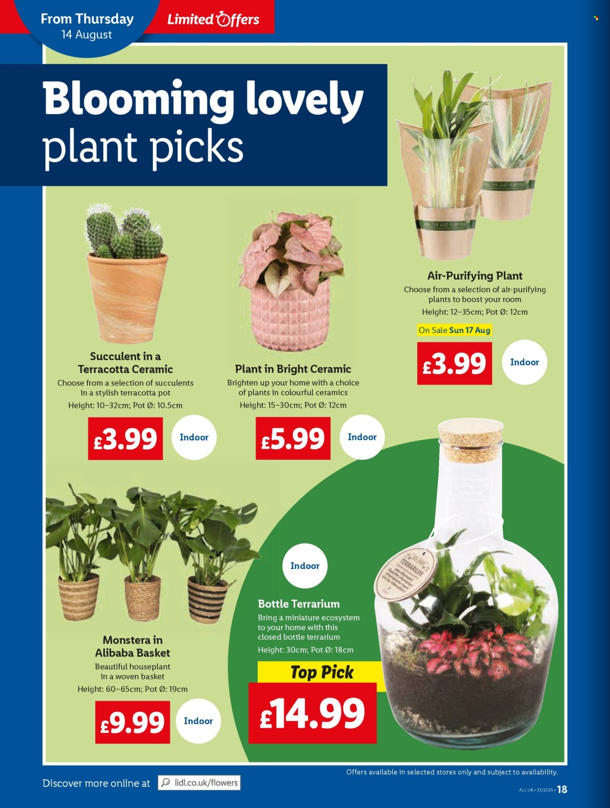 Lidl offer - 14/08/2025 - 20/08/2025. Page 18