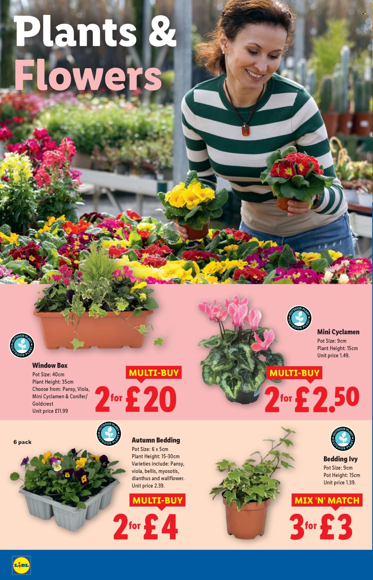 Lidl offer - 21/08/2025 - 27/08/2025. Page 22