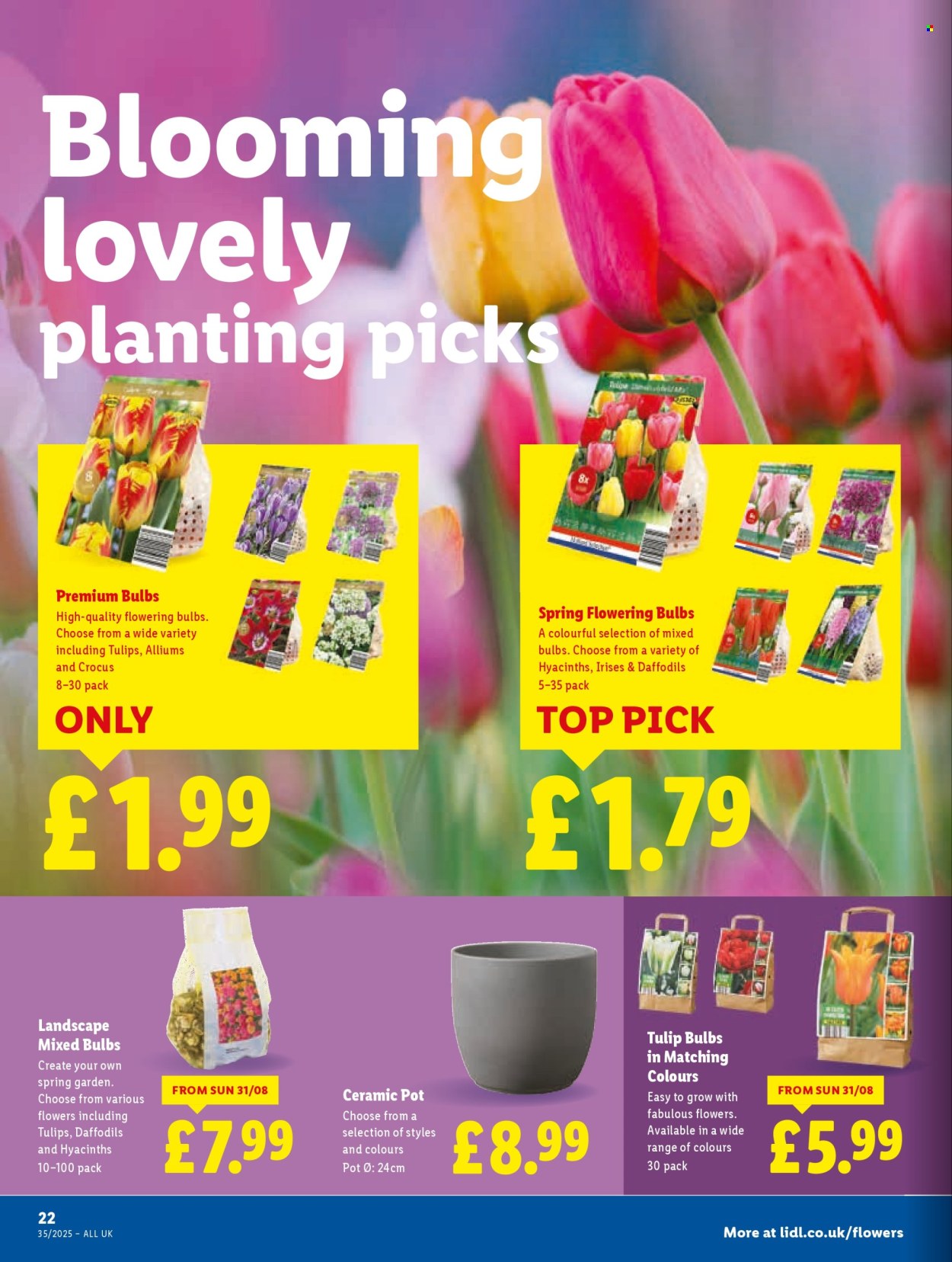 Lidl offer - 28/08/2025 - 03/09/2025. Page 24