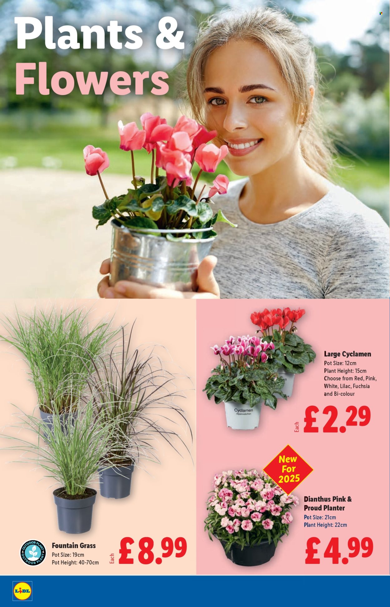 Lidl offer - 28/08/2025 - 03/09/2025. Page 20