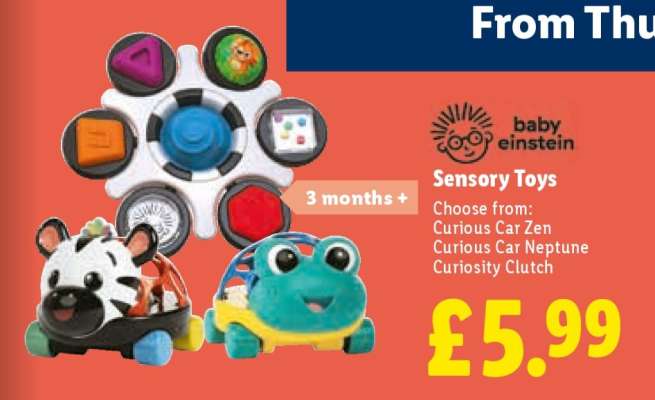 Baby Einstein Sensory Toys