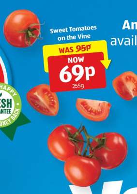 Sweet Tomatoes on the Vine