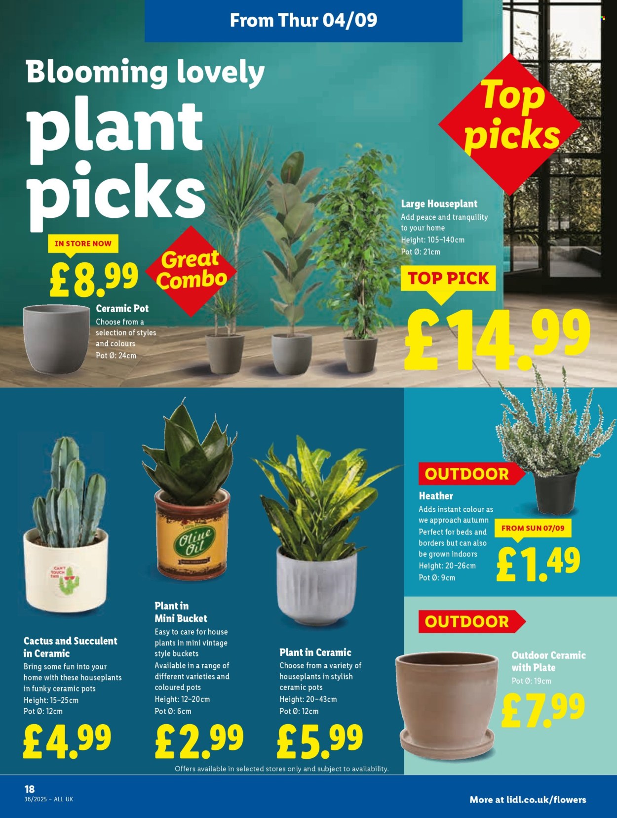 Lidl offer - 04/09/2025 - 10/09/2025. Page 22