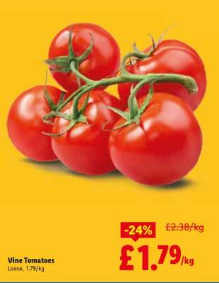 Vine Tomatoes