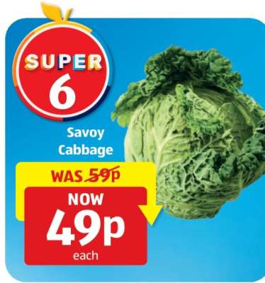 Savoy Cabbage