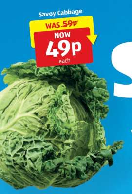 Savoy Cabbage