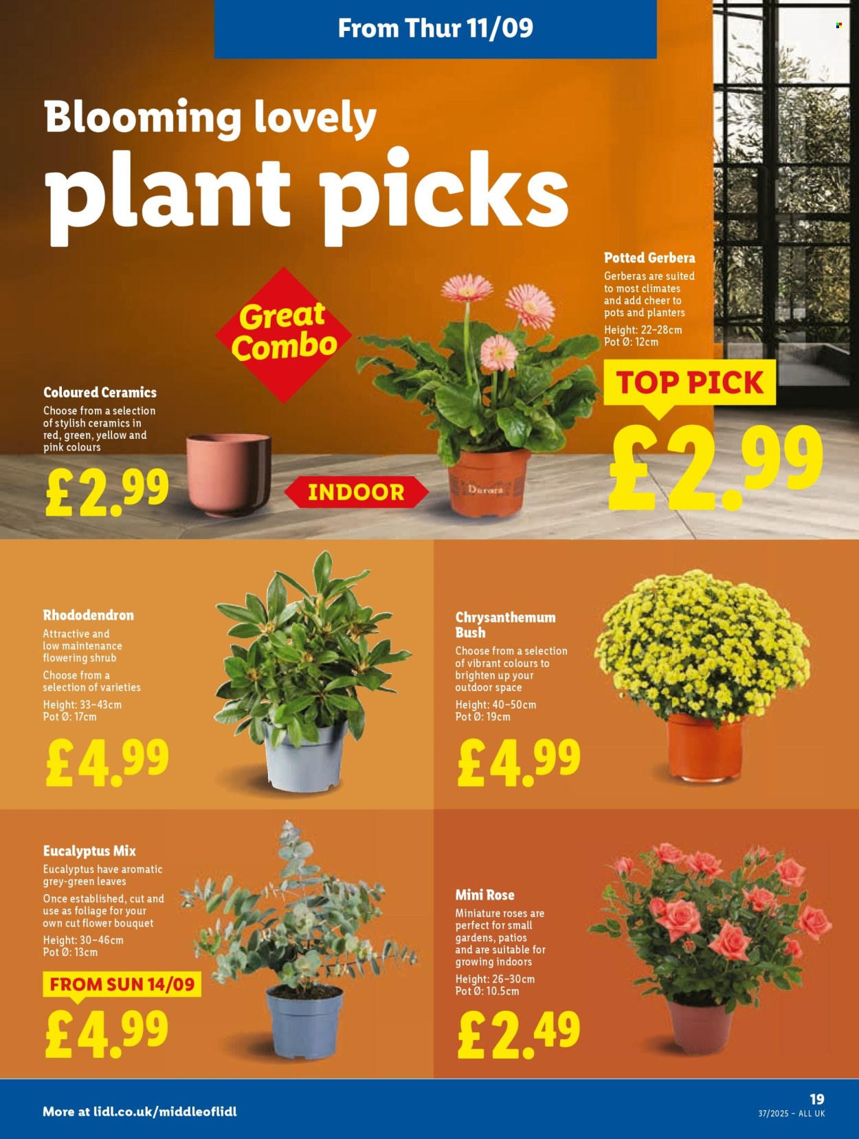 Lidl offer - 11/09/2025 - 17/09/2025. Page 21
