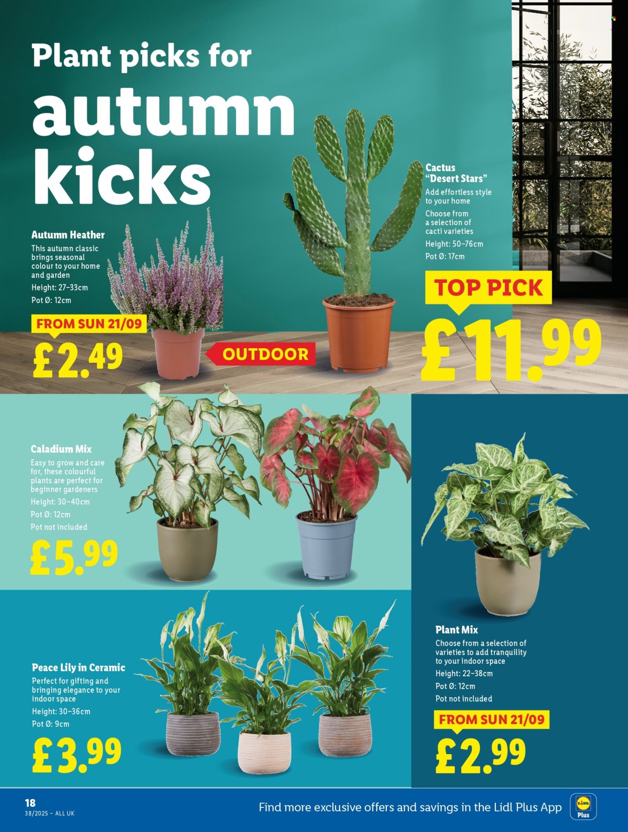 Lidl offer - 18/09/2025 - 24/09/2025. Page 22