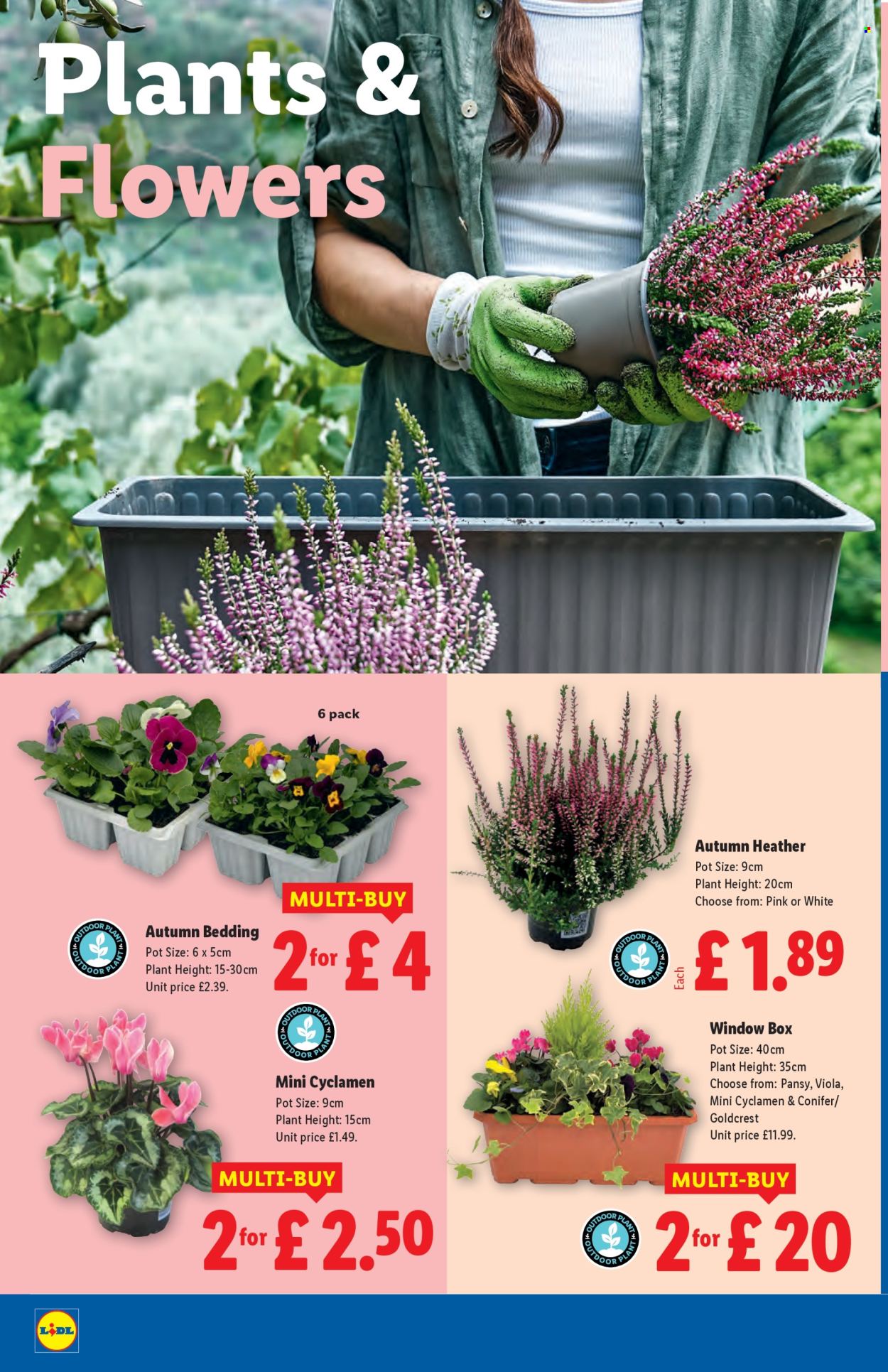Lidl offer - 18/09/2025 - 24/09/2025. Page 22