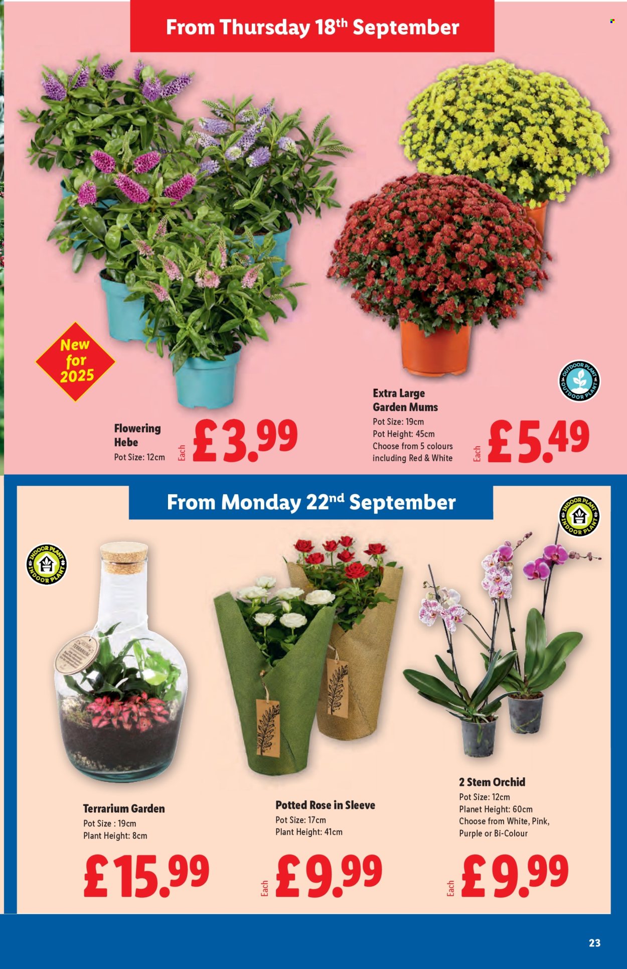 Lidl offer - 18/09/2025 - 24/09/2025. Page 23