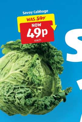 Savoy Cabbage