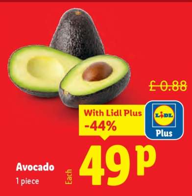 Avocado