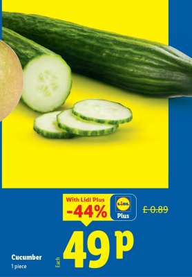 Cucumber