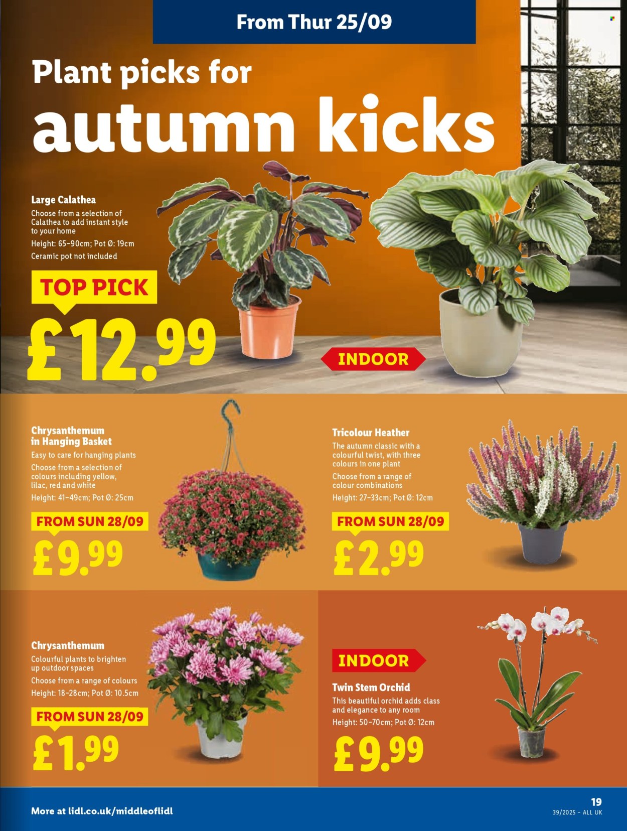 Lidl offer - 25/09/2025 - 01/10/2025. Page 21