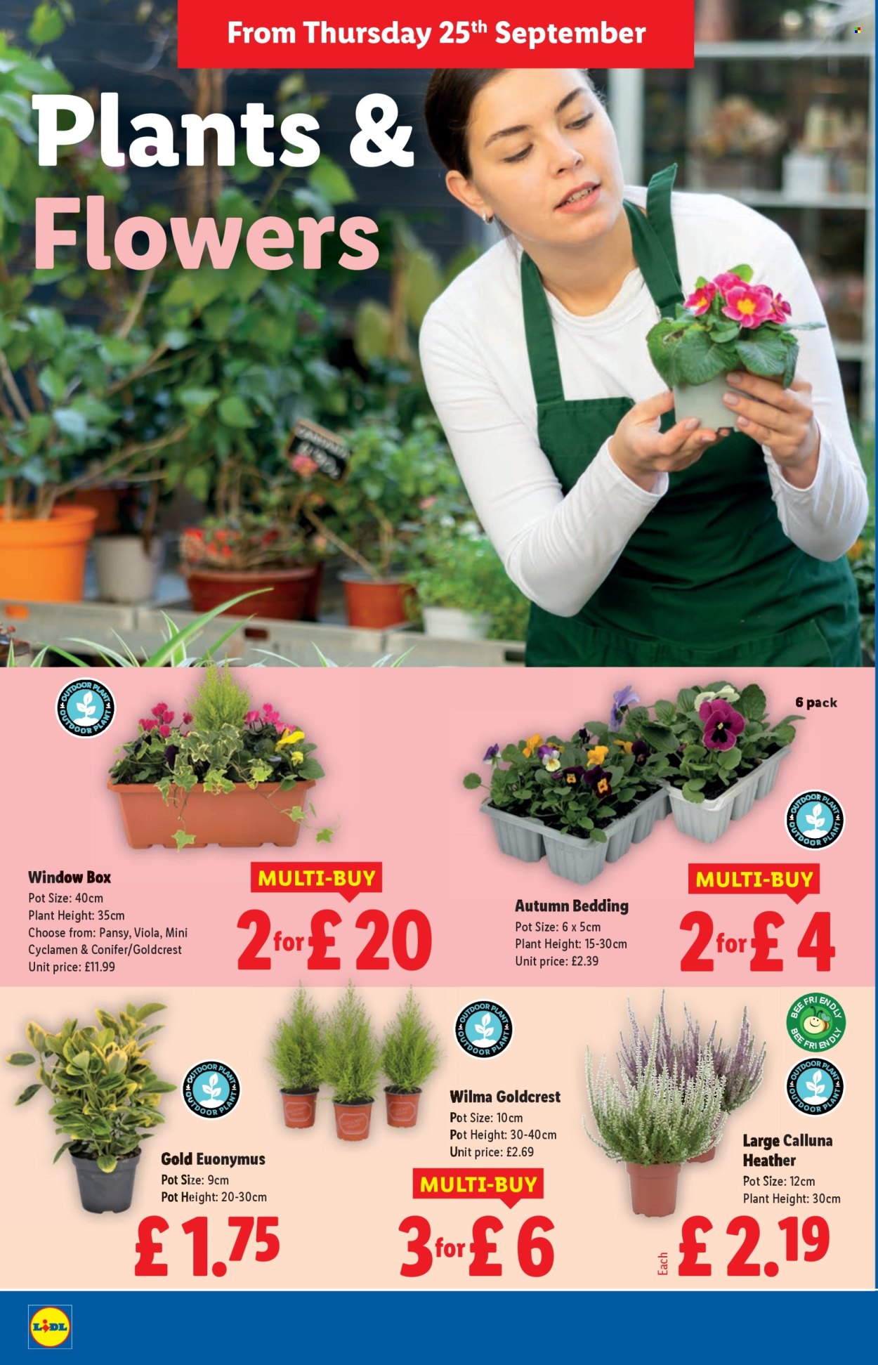 Lidl offer - 25/09/2025 - 01/10/2025. Page 22