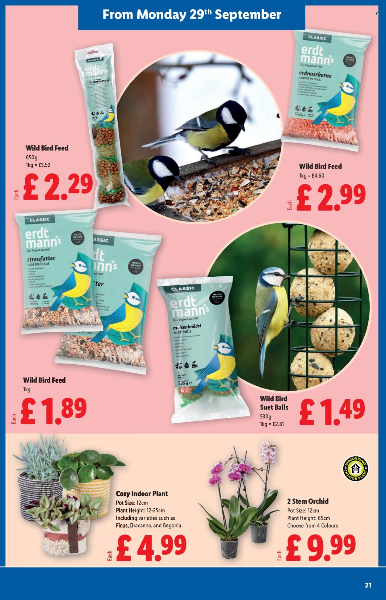 Lidl offer - 25/09/2025 - 01/10/2025. Page 23