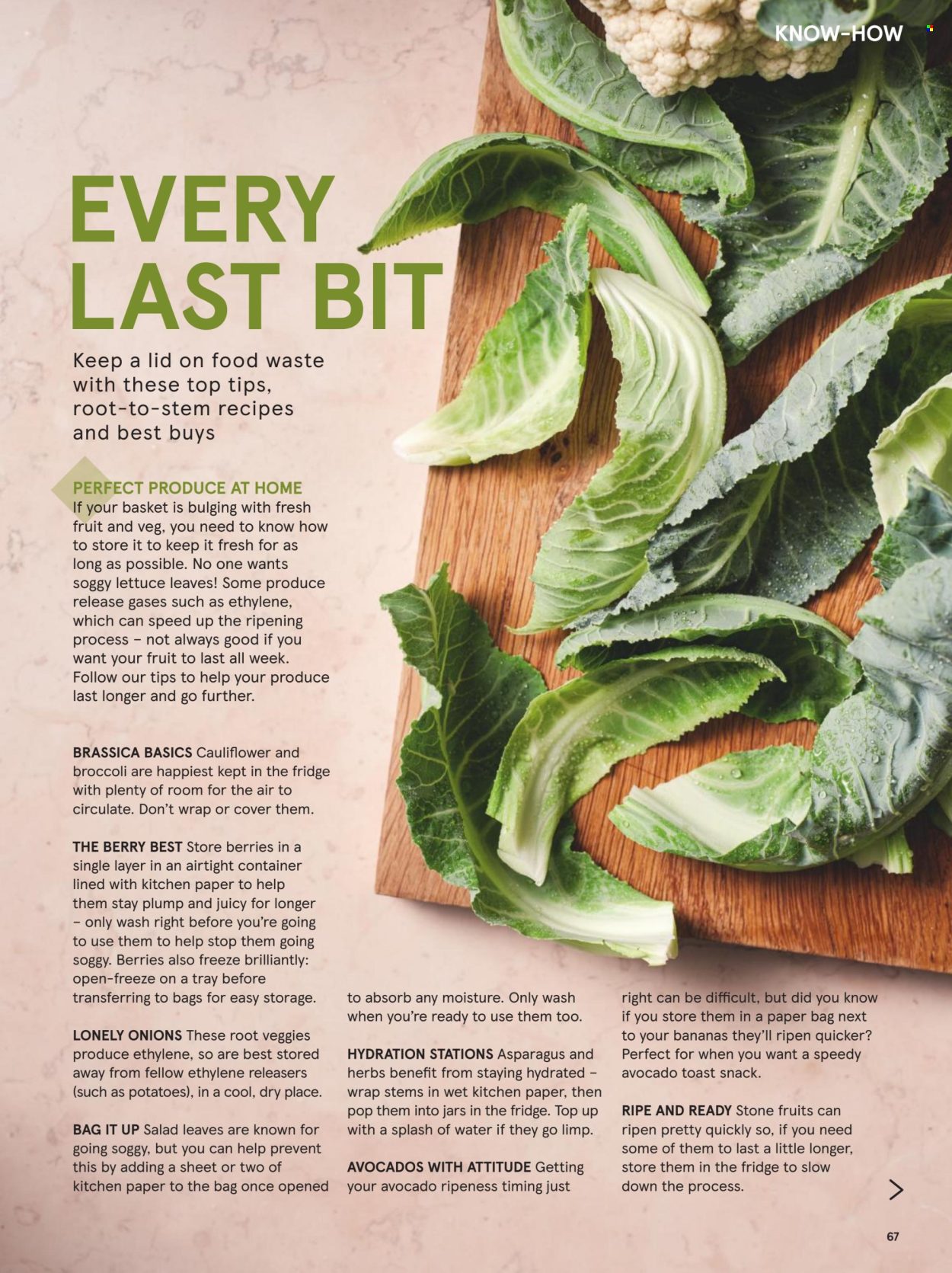 Tesco offer - 01/10/2025 - 31/10/2025. Page 67