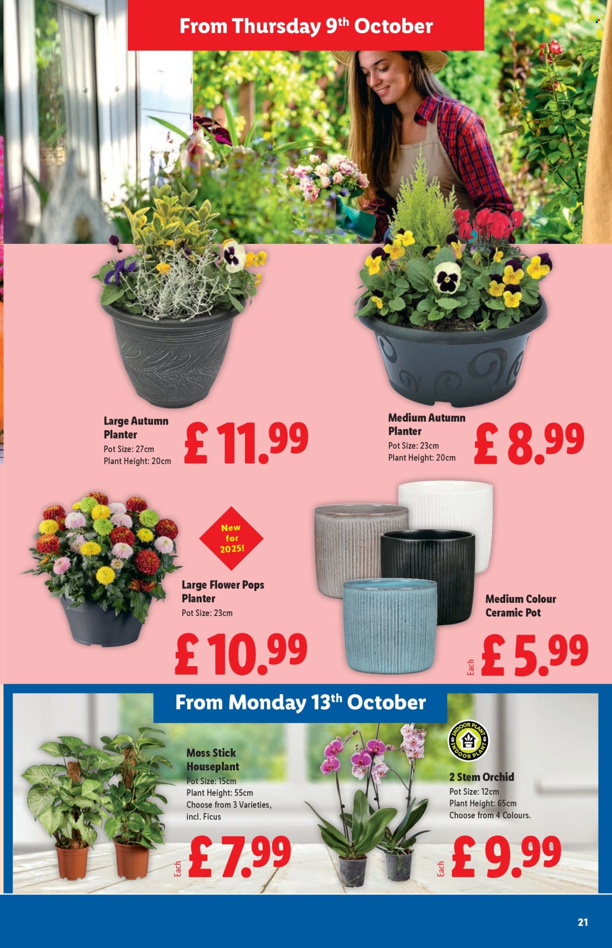 Lidl offer - 09/10/2025 - 15/10/2025. Page 21
