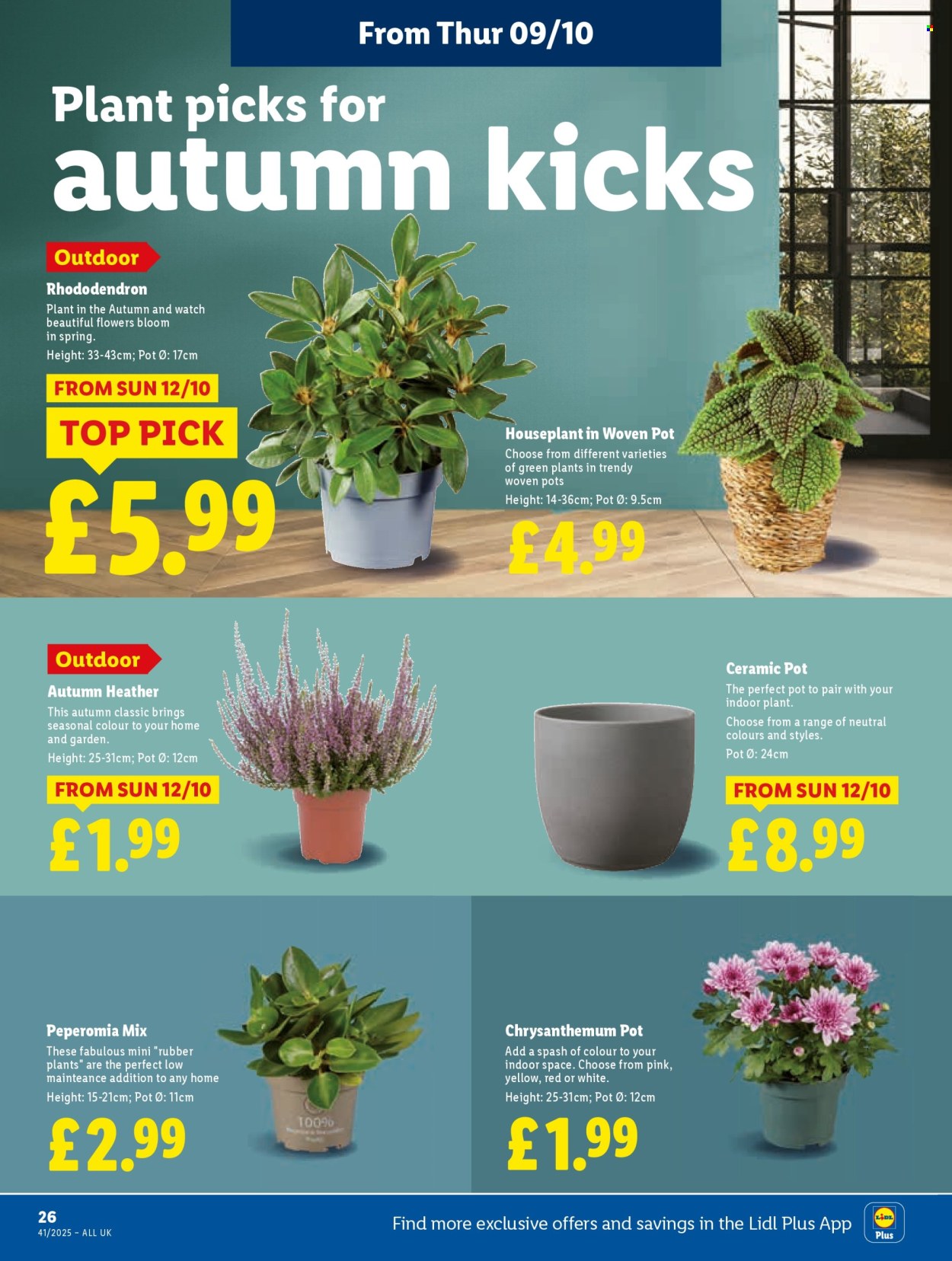 Lidl offer - 09/10/2025 - 15/10/2025. Page 26