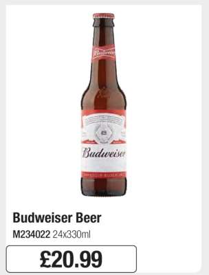 Budweiser Beer