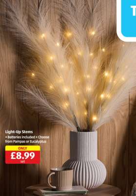 Light-Up Stems