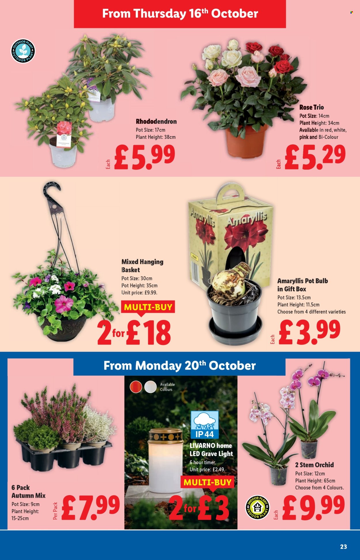 Lidl offer - 16/10/2025 - 22/10/2025. Page 23