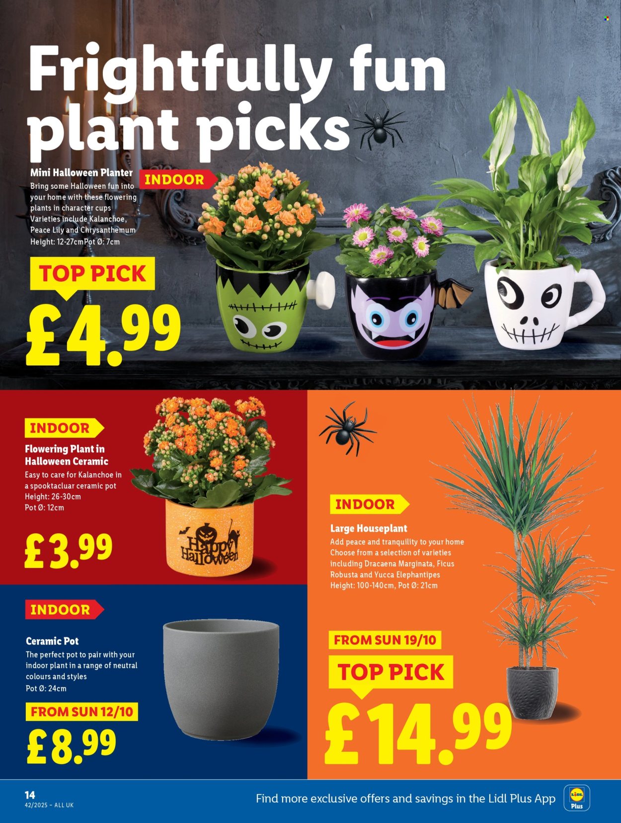 Lidl offer - 16/10/2025 - 22/10/2025. Page 14
