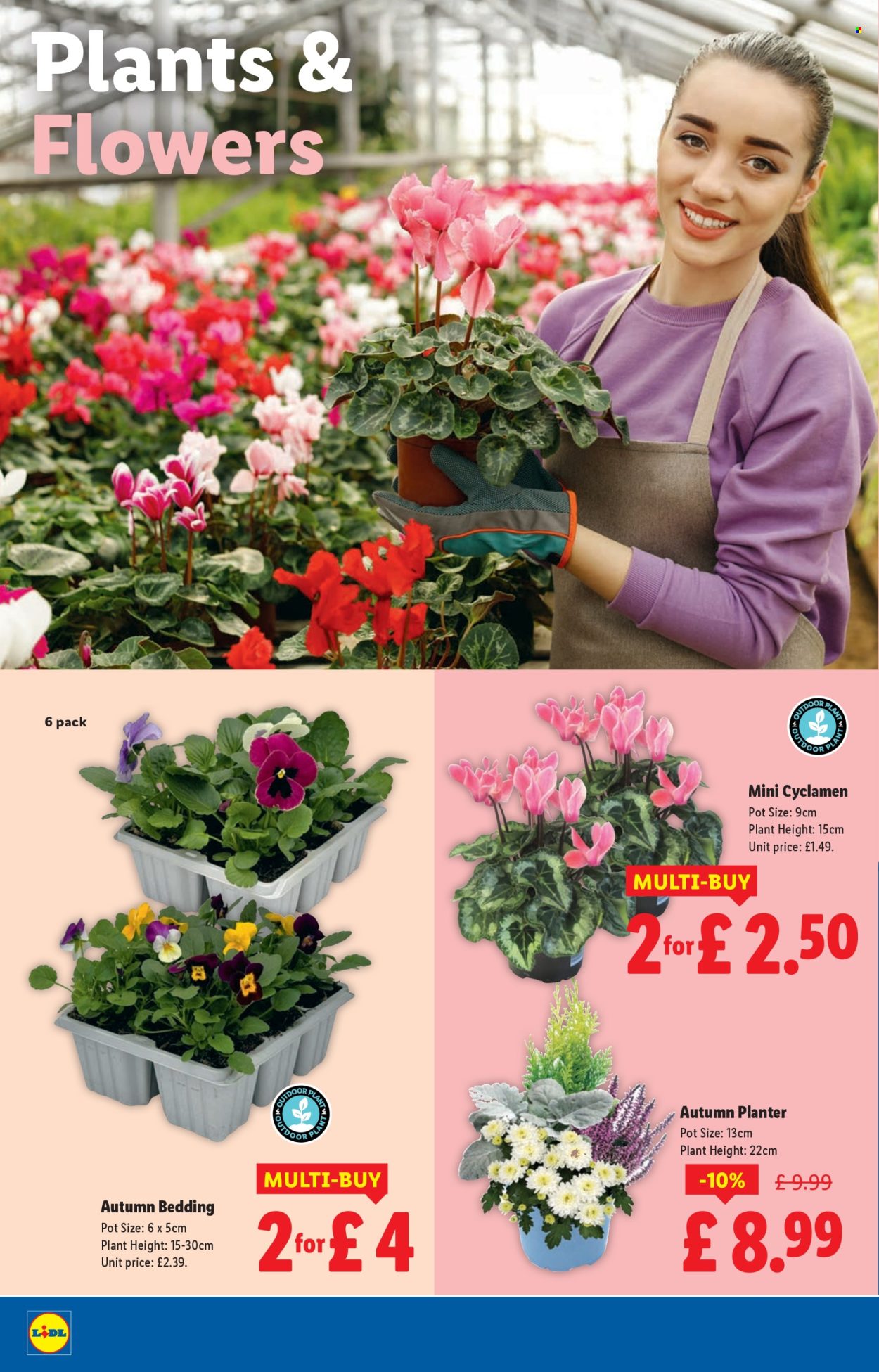 Lidl offer - 23/10/2025 - 29/10/2025. Page 22