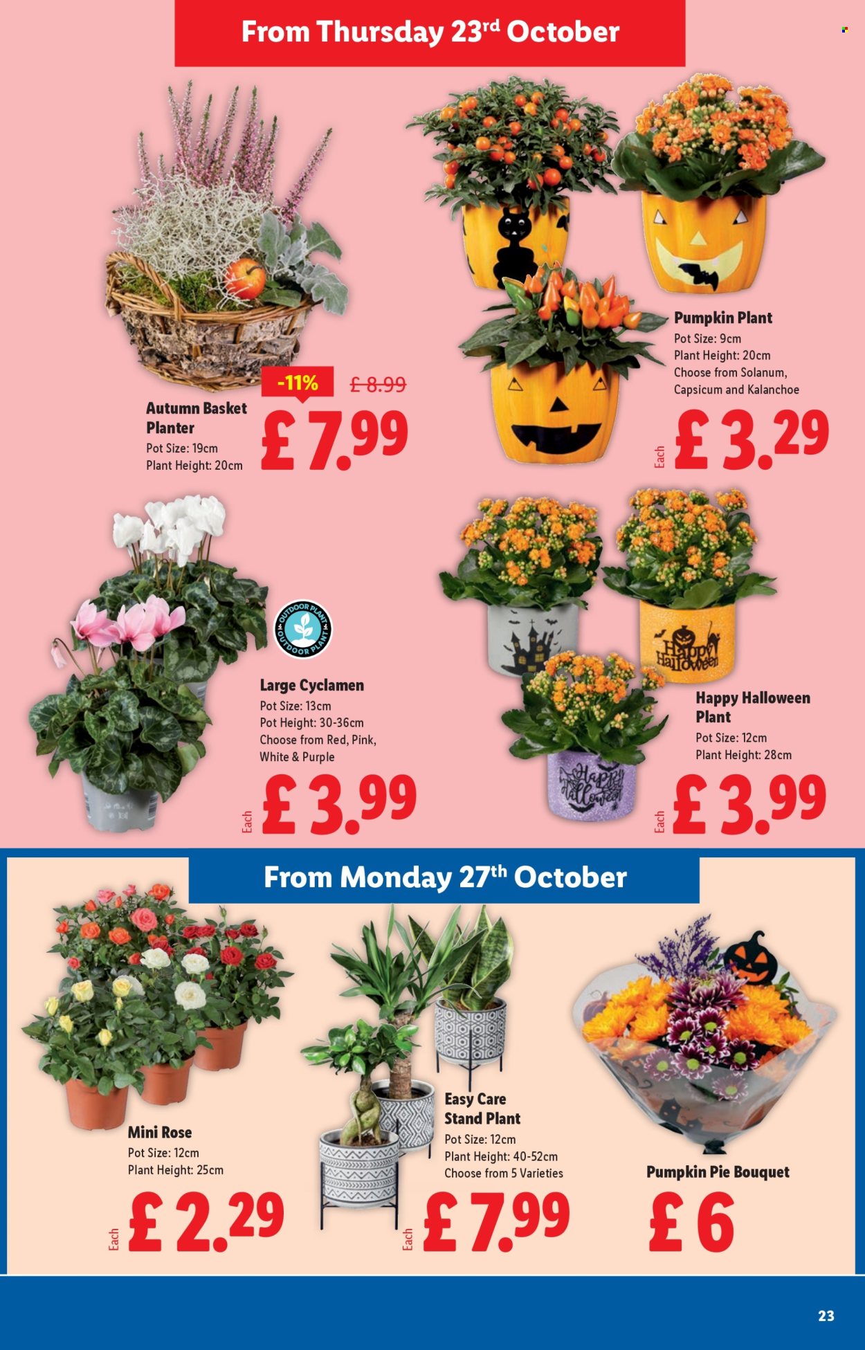 Lidl offer - 23/10/2025 - 29/10/2025. Page 23