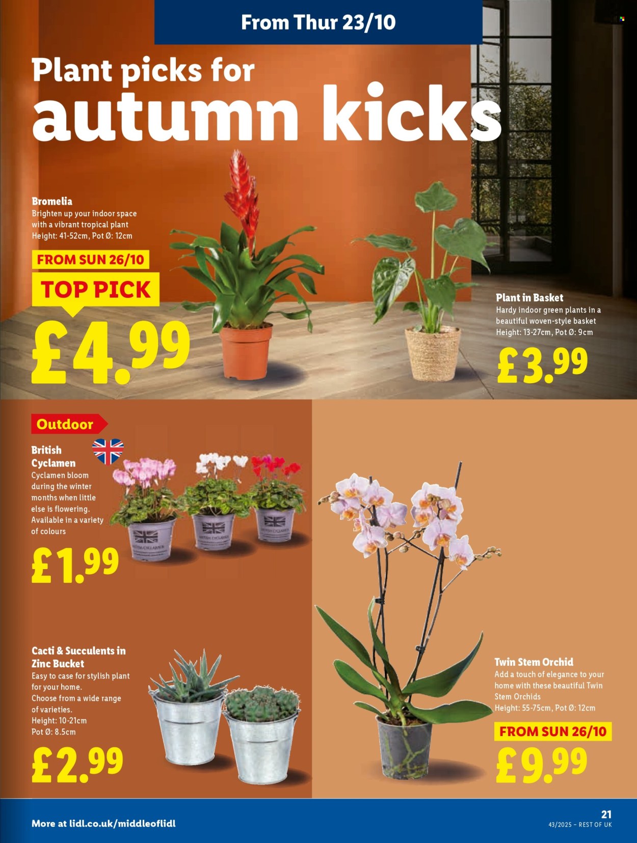 Lidl offer - 23/10/2025 - 29/10/2025. Page 21
