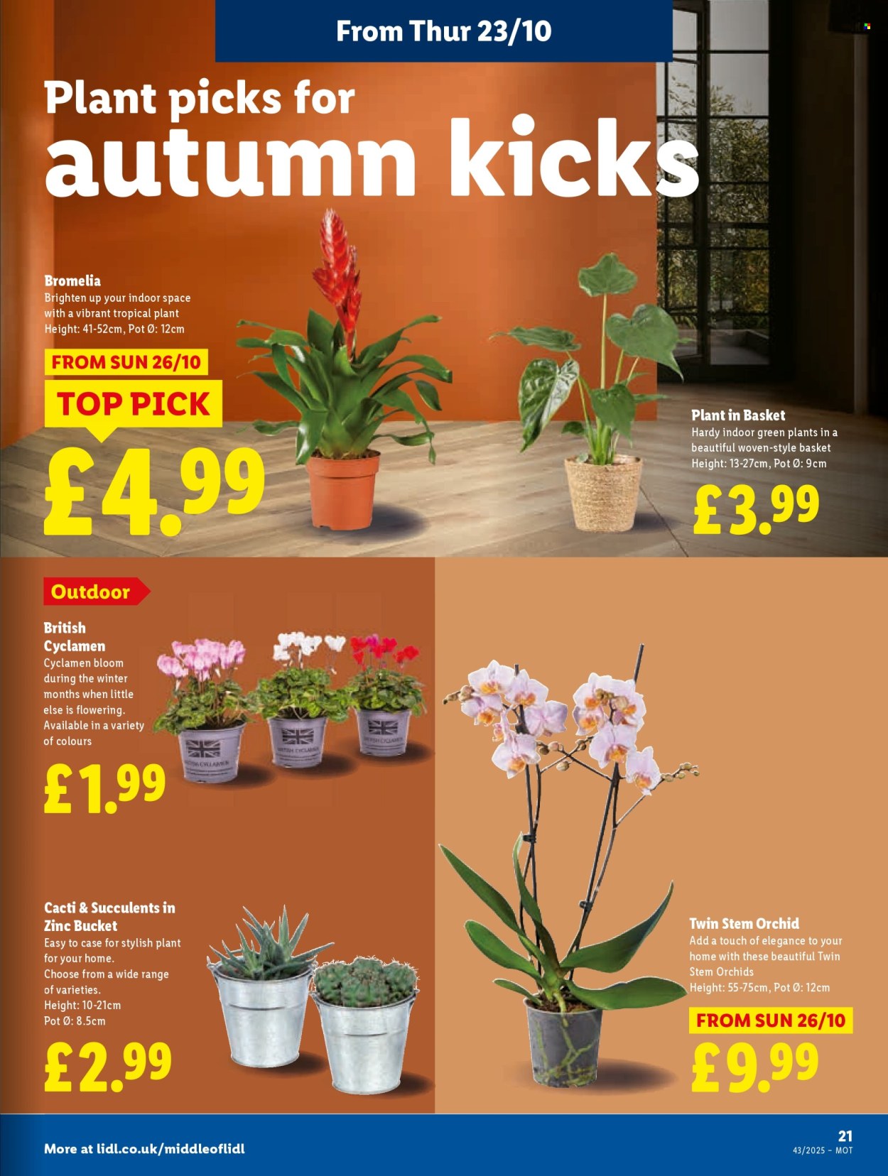 Lidl offer - 23/10/2025 - 29/10/2025. Page 21