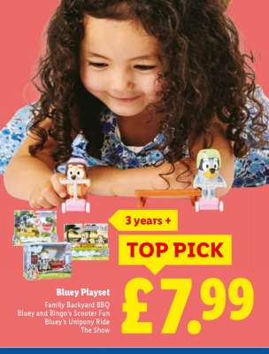 Bluey Playset