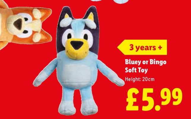 Bluey or Bingo Soft Toy