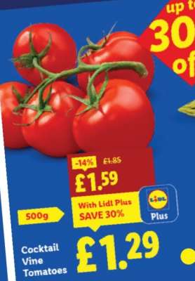 Cocktail Vine Tomatoes