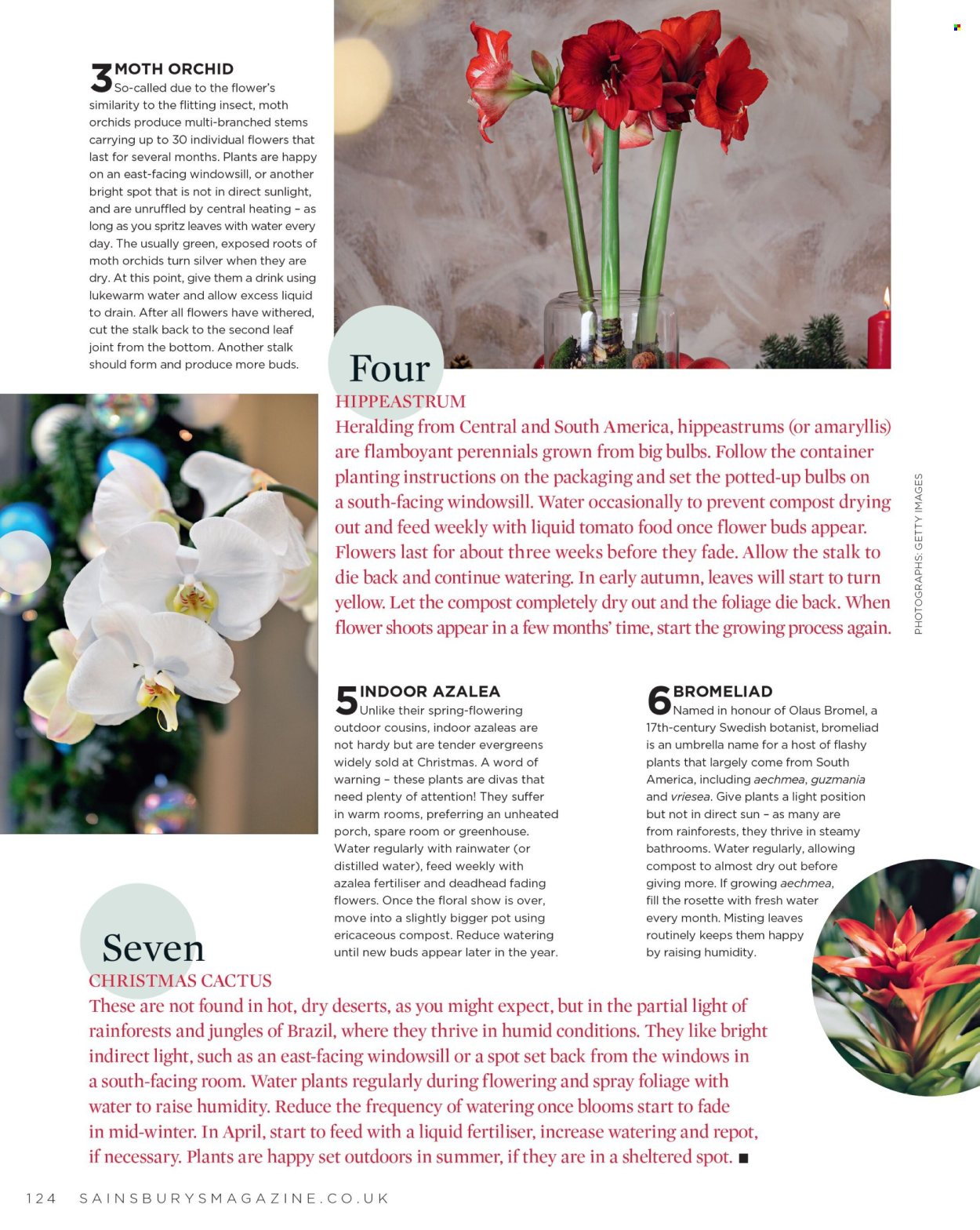 Sainsbury's offer - 01/11/2025 - 30/11/2025. Page 124