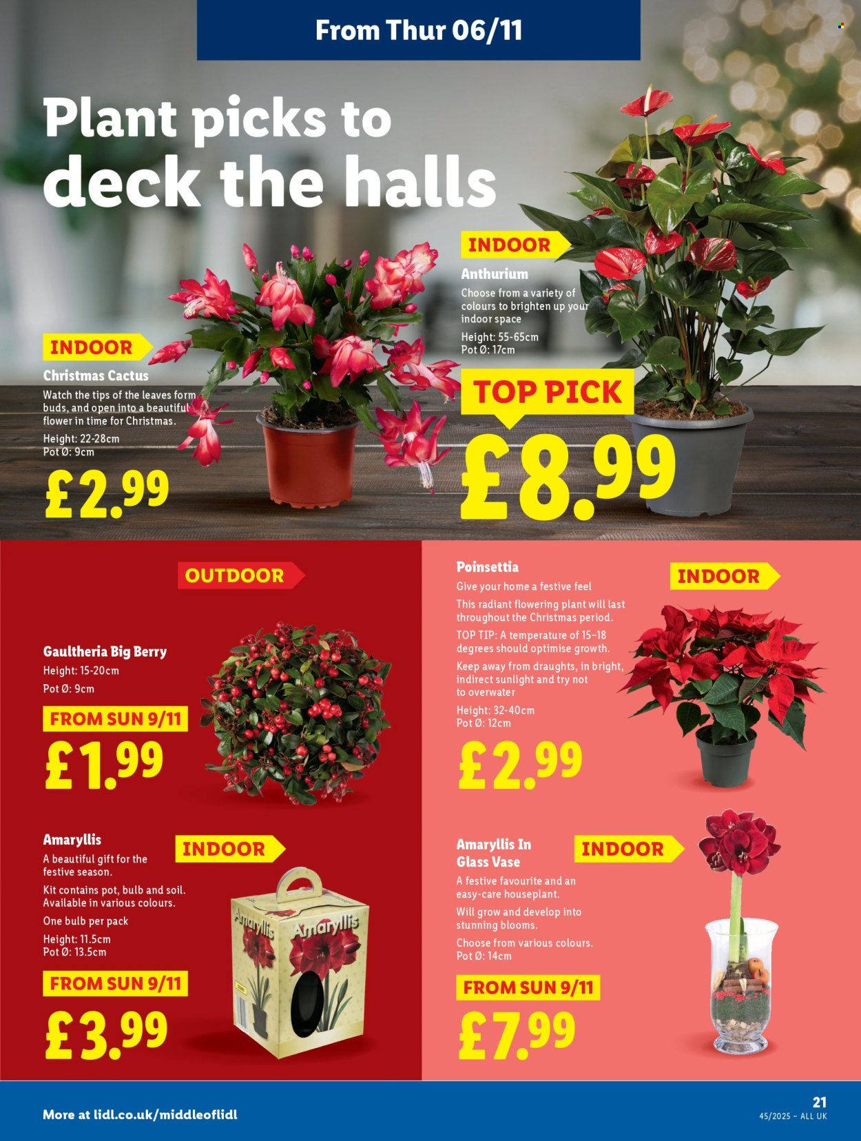 Lidl offer - 06/11/2025 - 12/11/2025. Page 23