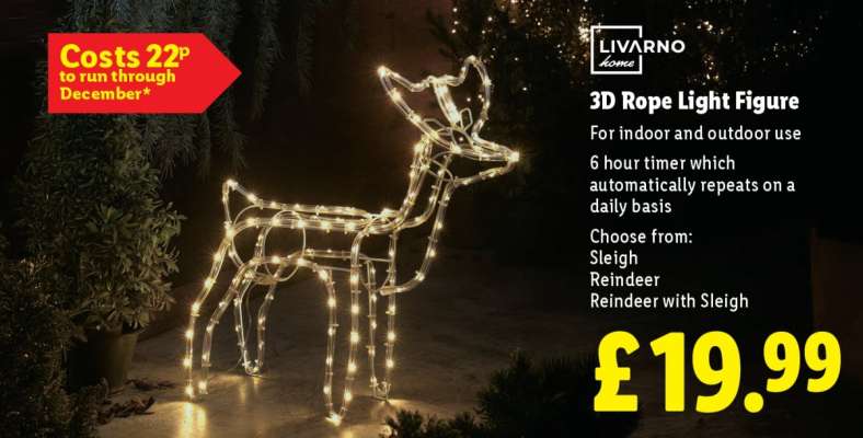 3D Rope Light Figure