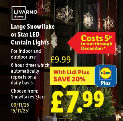 Large Snowflake or Star LED Curtain Lights