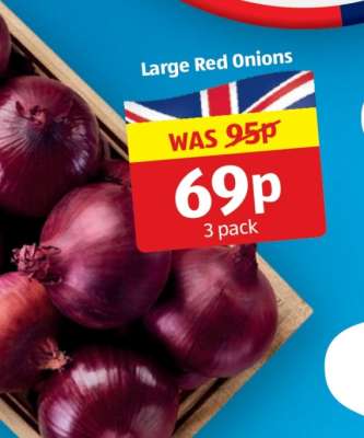 Large Red Onions