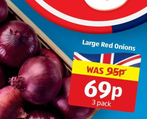 Large Red Onions