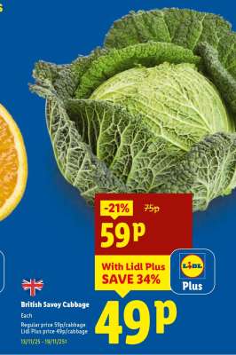 British Savoy Cabbage