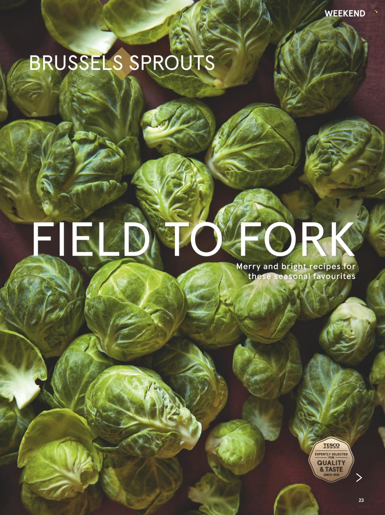 Tesco offer - 01/12/2025 - 31/12/2025. Page 23