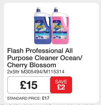 Flash Professional All Purpose Cleaner Ocean/Cherry Blossom