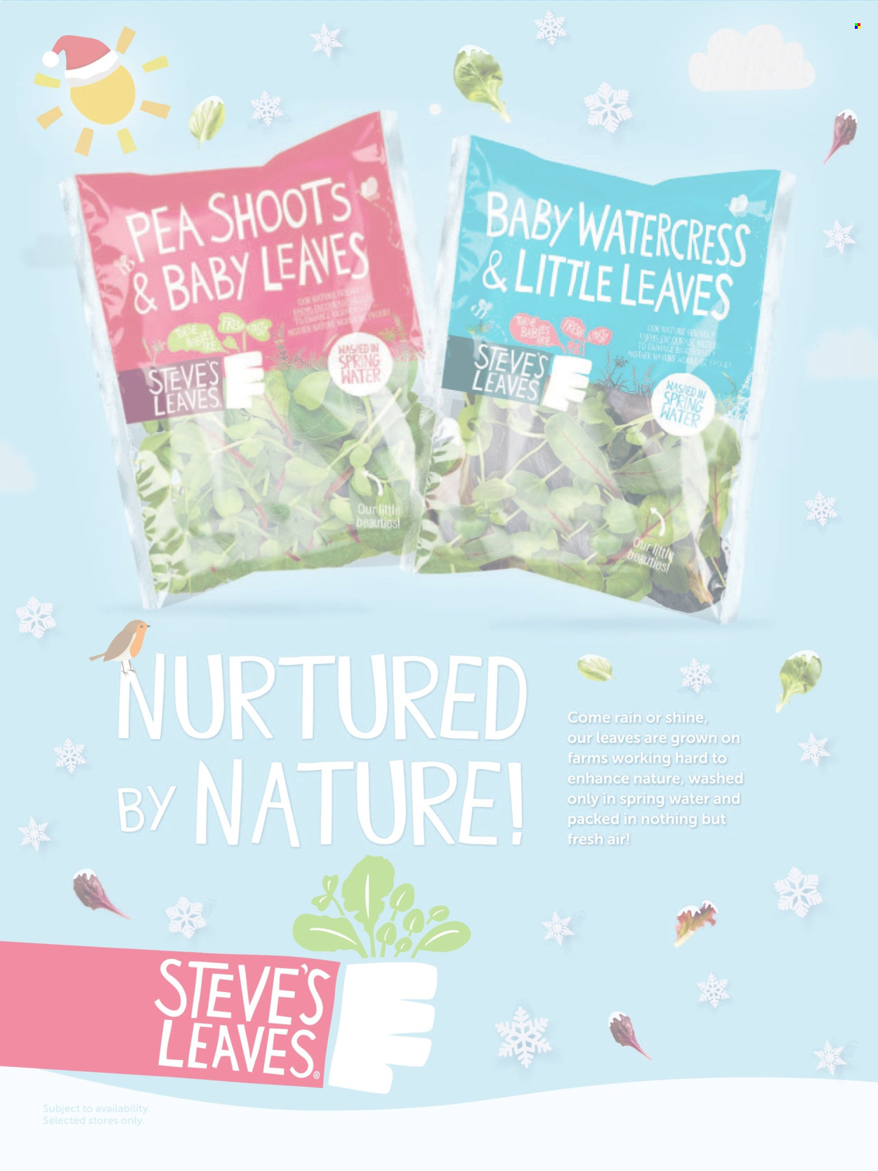 Waitrose offer - 01/12/2025 - 31/12/2025. Page 22