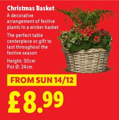 Christmas Basket