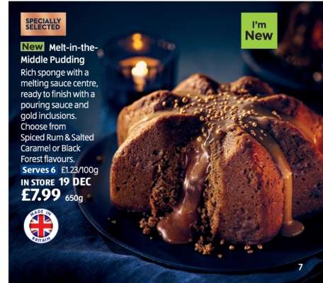 Melt-in-the-Middle Pudding