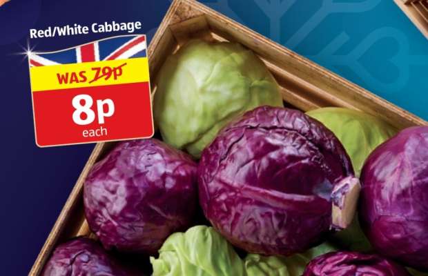 Red/White Cabbage