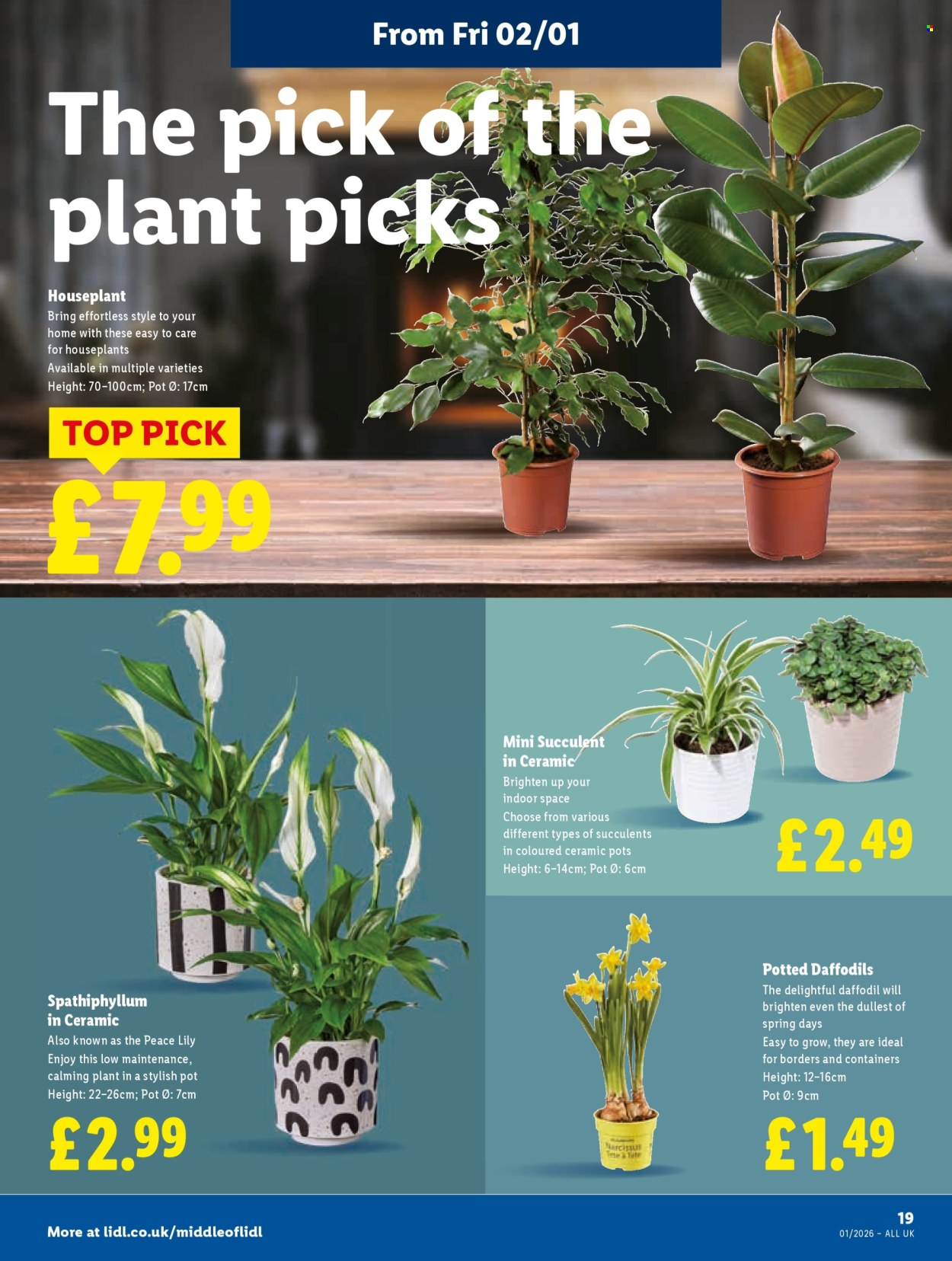 Lidl offer - 31/12/2025 - 07/01/2026. Page 21