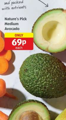 Nature’s Pick Medium Avocado